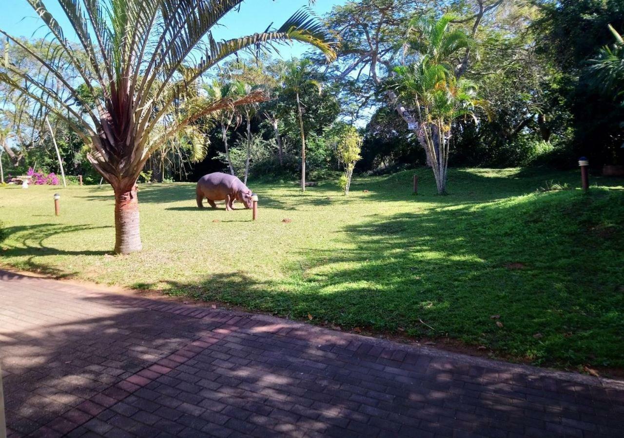 Elephant Lake Hotel St Lucia Exterior photo